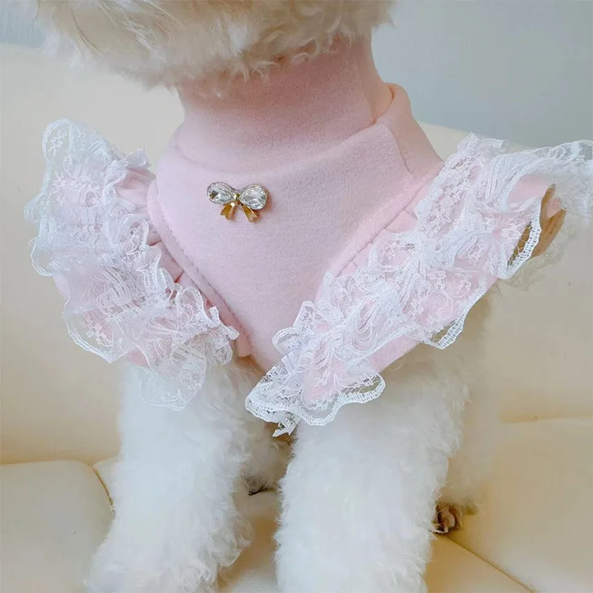 Pet Clothing Autumn and Winter - Lace Teddy Lingerie 评论和价格