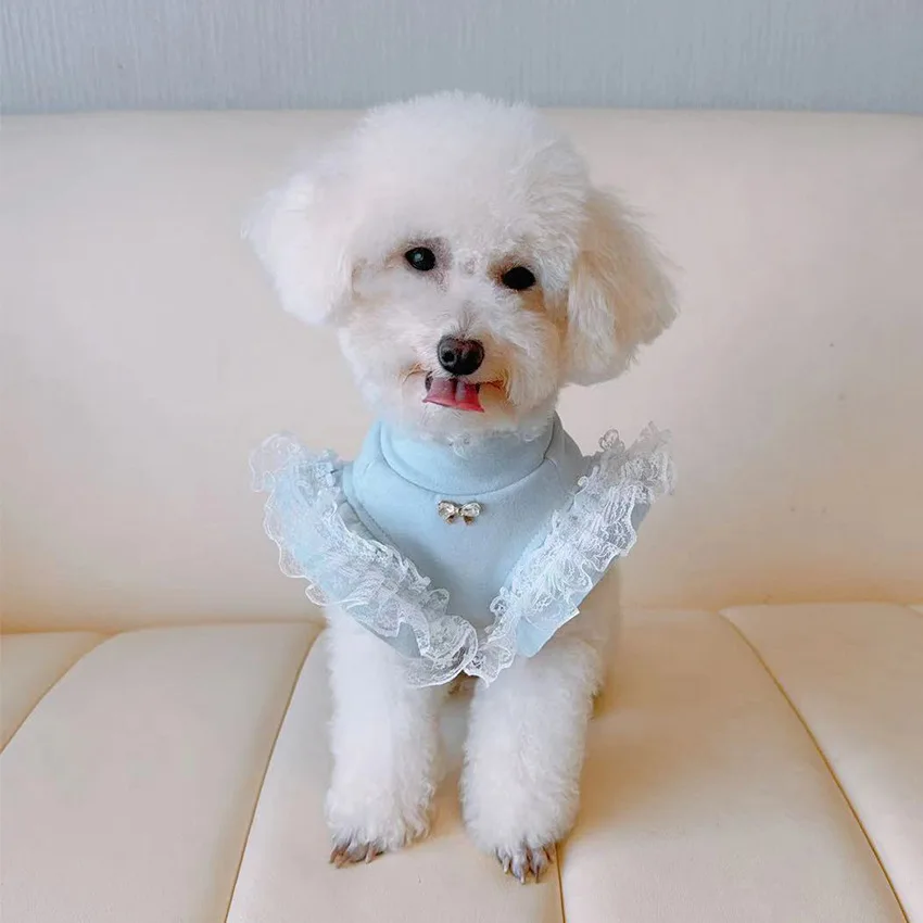 Pet Clothing Autumn and Winter - Lace Teddy Lingerie 评论和价格